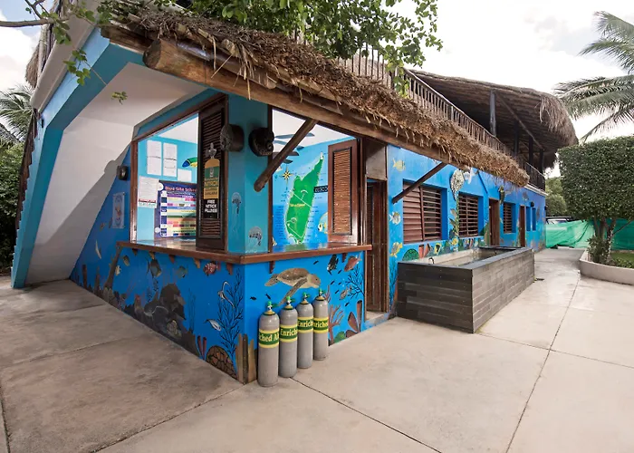 Iberostar Waves CozumelResort All Inclusive